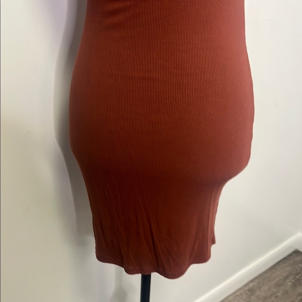 Forever 21 Rust Button-Down Dress - Picture 7 of 7